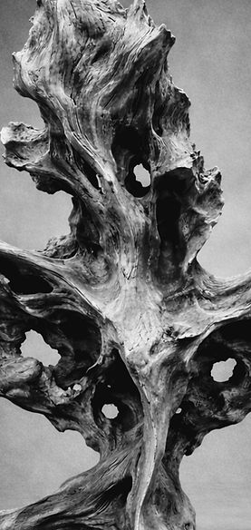 Screenshot_20260327111246_ChatGPT (1).jpg