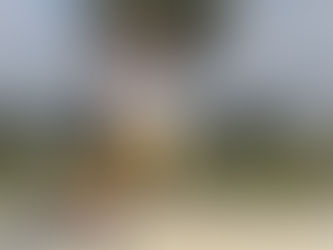 ON RETOURNE TOUS A LA PLAINE DES SPORTS !