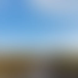 Wednesday MTB round up.