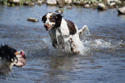 DSC_0260