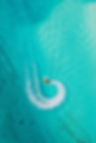 138ADDBA-EBA0-48D8-9823-8129FF9F04C9.jpeg