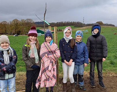 Obstbaumallee Teil 1