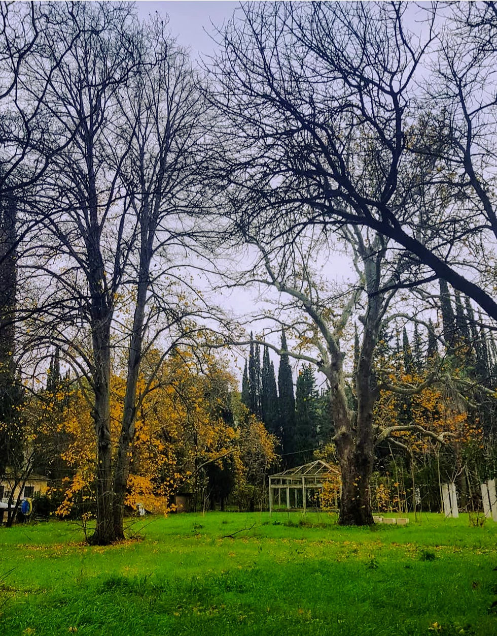 GARDENS of ALIARTOS