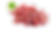 Rhoditis.png