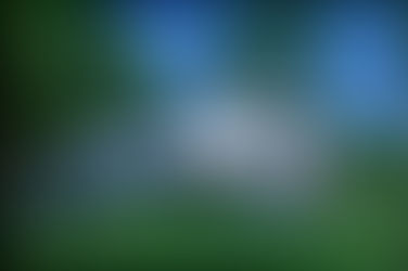 ⏰ It’s Time for School! 🍎 A glimpse at an Amish Education….