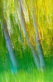 2025 Screenshot 2025-12-21 141343.jpg