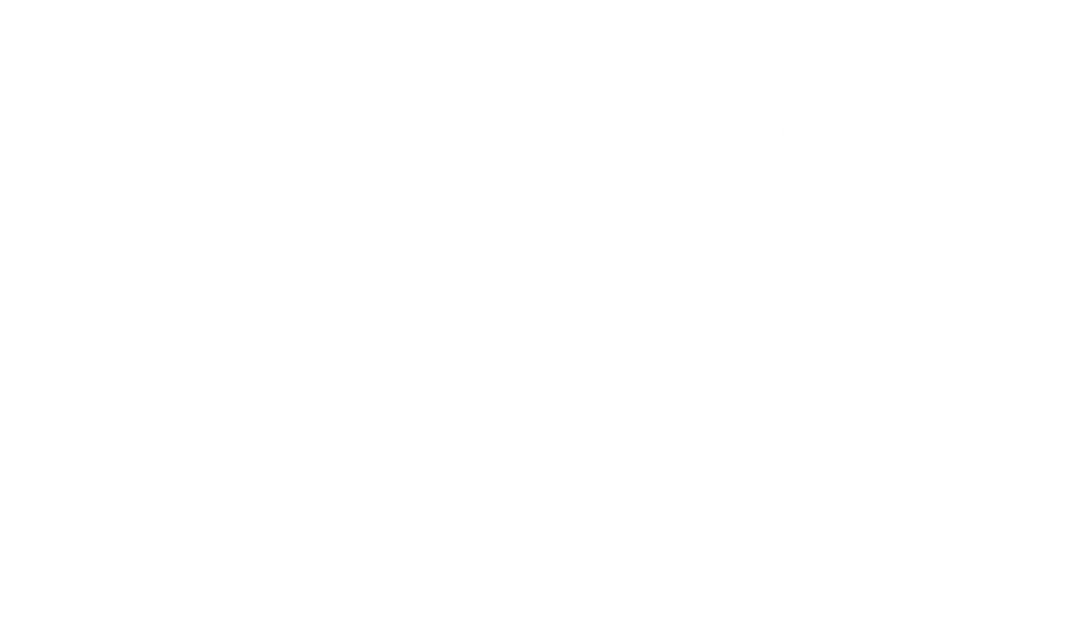 Stay_Logo_mit_Vodka_white.png