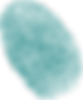 Fingerabdruck.png