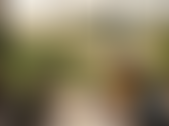 Kozan Web Tasarım: İşletmenizin Bereketini Dijital Dünyaya Taşıyın!