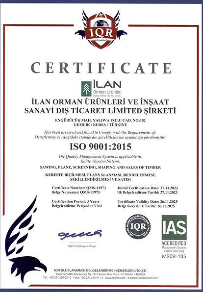 Ekran Alıntısı 1.JPG