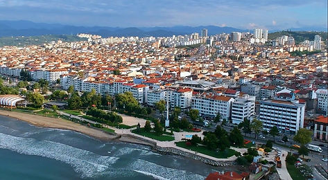 altinordu