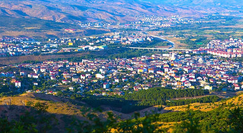 bingol