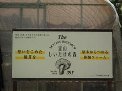 里山しいたけの森外観