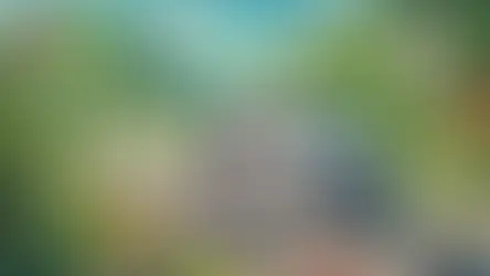 Bolu Oto Lastik Hizmeti: 7/24 Yol Yardımı ile Yolda Güvenle İlerleyin