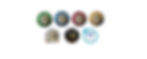 Badges 2020_edited.jpg