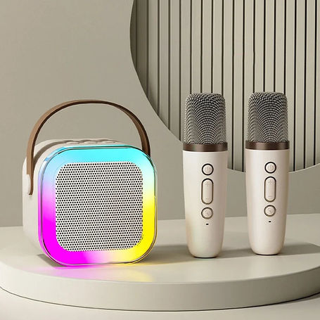 Wireless Karaoke Speaker with Dual Microphones
