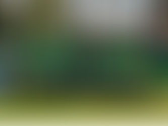 Souveräner Heimauftritt in neuen Trikots