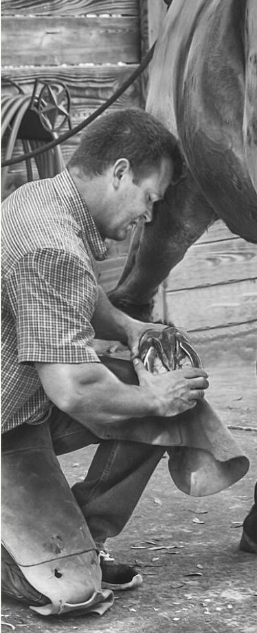 Florida Farrier Pros Ocala Farrier Specialized Hoofcare_edited.jpg