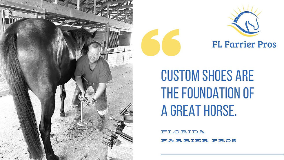 Florida Farrier Pros Ocala Farrier Glue On Sport Horse Specialist.jpg