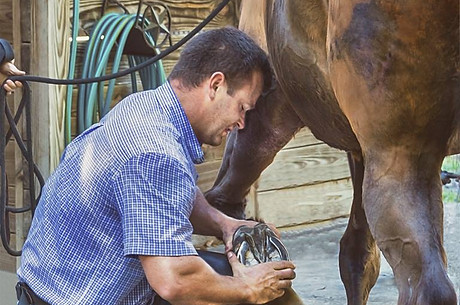 Farrier 1.jpg