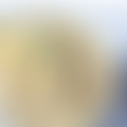 Cauliflower Alfredo Sauce