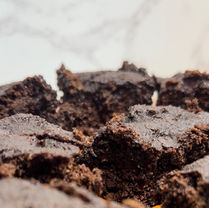 Fudge Brownies