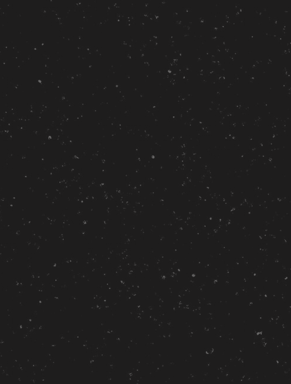 Frame 1000005729.png