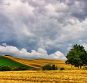 IMG_4102lumix.jpg