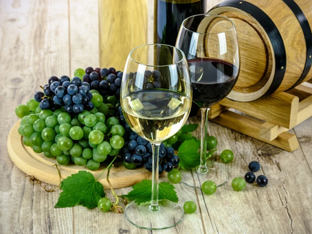 Descubre el mundo del vino