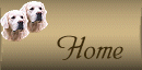 myhome.gif