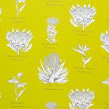 Botanical Protea (Chartreuse)