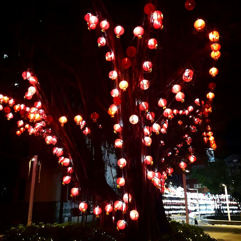 鼠來寶躍枋橋