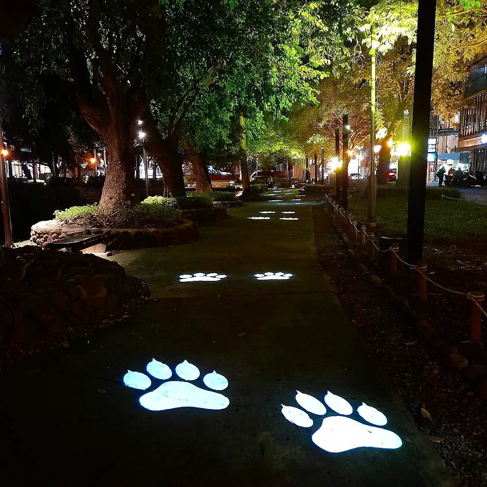 掌聲林 Sounds of Tiger’s Paws