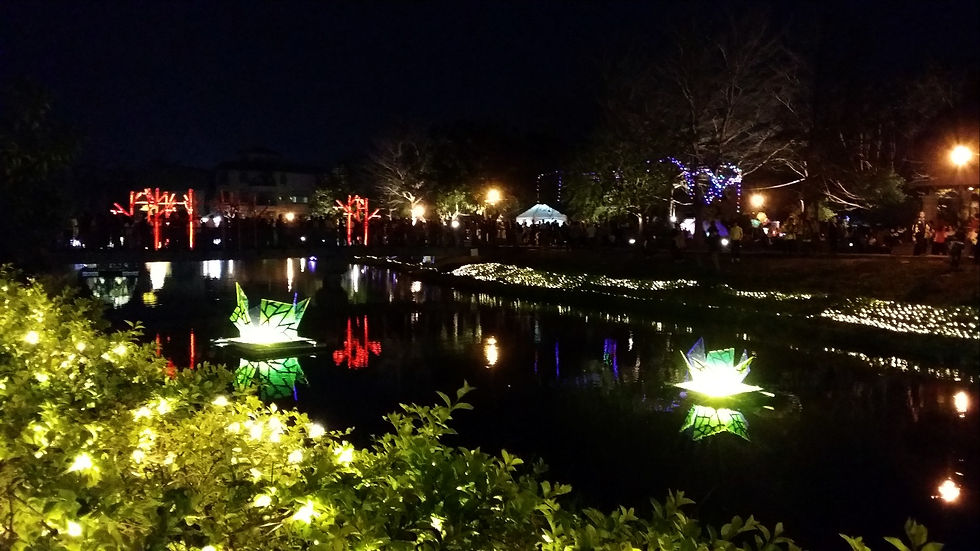 花開富貴
