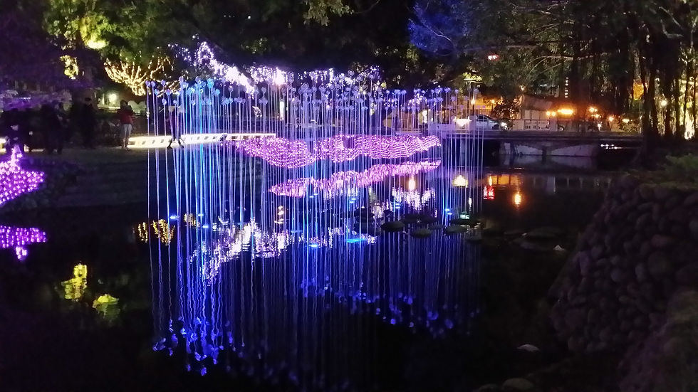 映風草