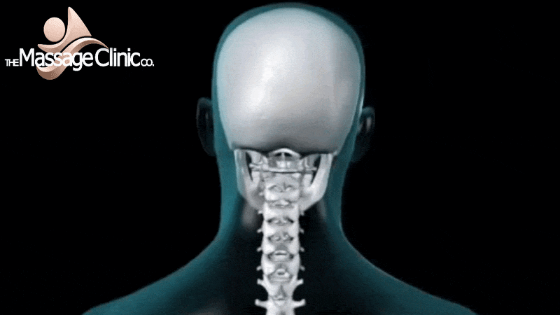 Back view of a head and neck anatomy illustration with exposed cervical spine on black, The Massage Clinic logo at top left.