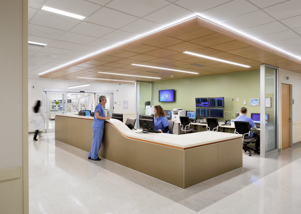 Coding Clinic Encoder Pro Decoding Efficiency: A Comprehensive Guide to Medical Coding Software