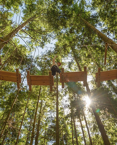 High Ropes 2.jpg