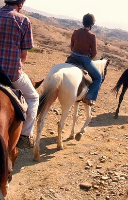 horse 4.jpg