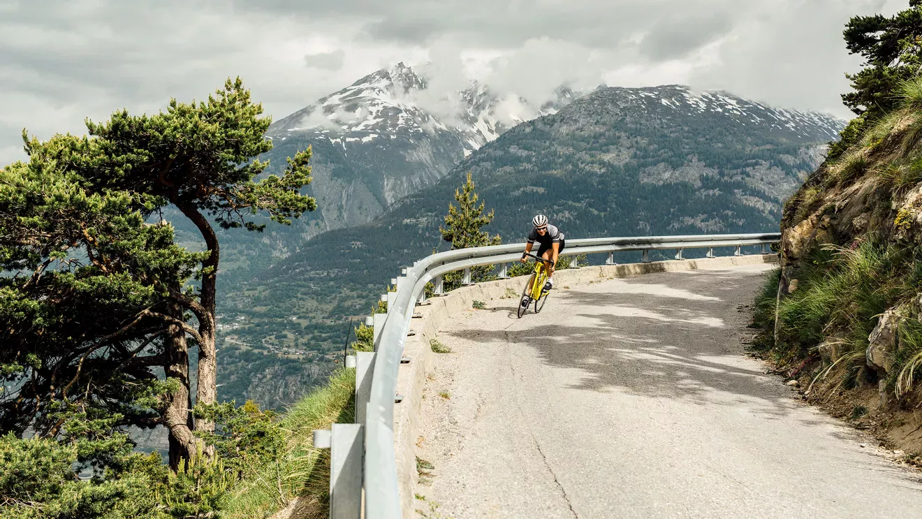 vélos.webp