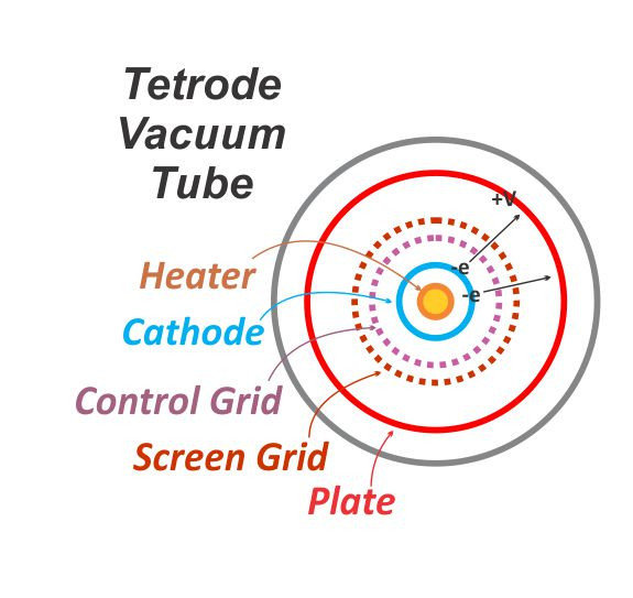 End-on view of vacuum tube structure, showing concentric rings of cathode, control grid, screen grid, and plate.