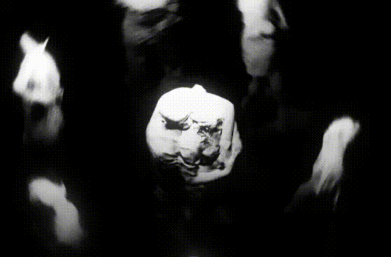 Into-The-Loop.gif