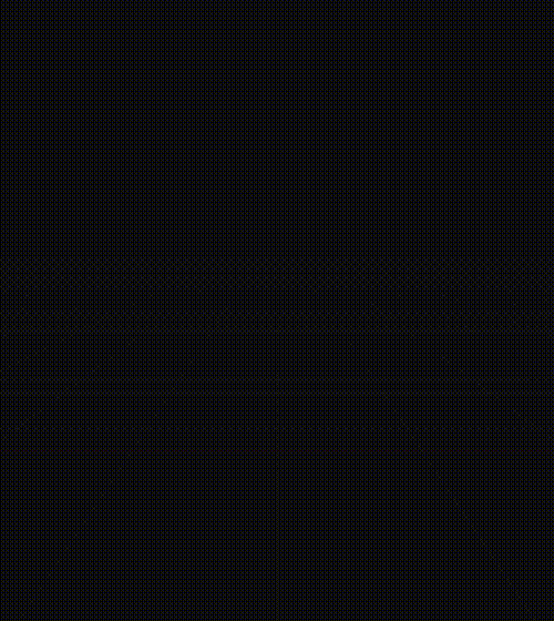 Prowl-Portrait-Evolution.gif