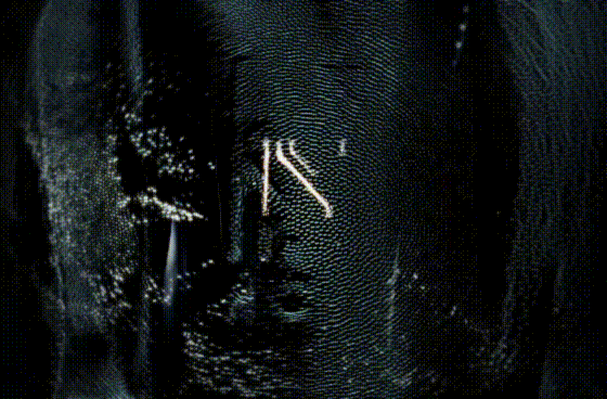 Norm.gif