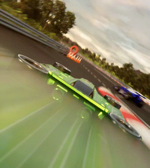 F2F-Portrait-Fly.gif