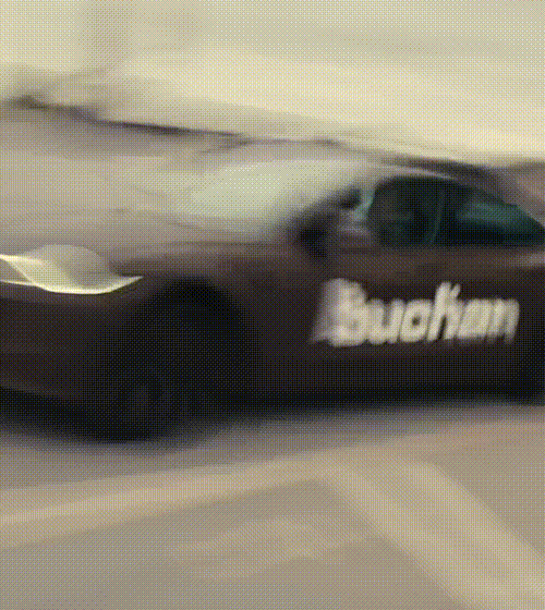 BUCHAN-4.gif