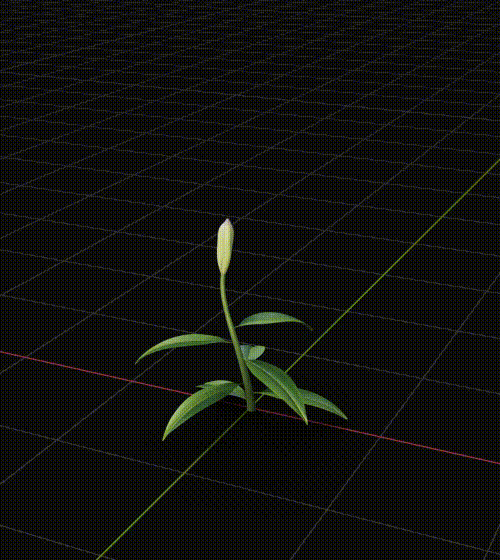 Prowl-Portrait-Flower.gif