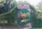 014197_edited