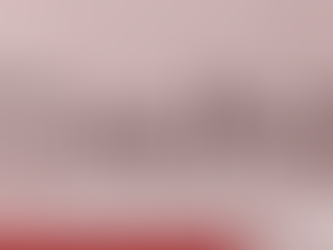 Fiscalização na Saúde Suplementar: reunião extraordinária da DICOL da ANS encerra ano regulatório com novo paradigma