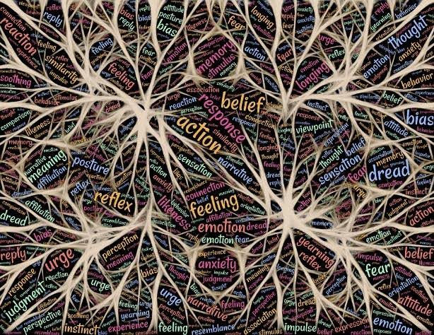 neural connections